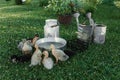 Ducks on the farm. Light and dark ducklings drink water from an iron trough.