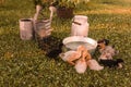 Ducks on the farm. Light and dark ducklings drink water from an iron trough.