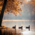 Ducks Floating On An Autumn Lake