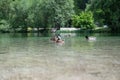 Ducks floating on a beautiful calm green water