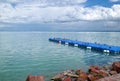 Ducks on the floating pier at Balaton lake, Hungary