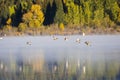 Ducks Flying Over Two Oceans Lake Royalty Free Stock Photo