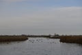 The Wetland in Sacramento NWR