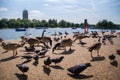 Hyde Park, London Royalty Free Stock Photo