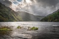 Ducks in the Glendalough Lake with autumn forest and mountains illuminated by sunrays, Ireland