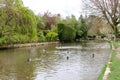 The river in Bourton on the Water with ducks