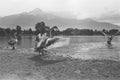 Ducks at Lake of Como, Film frame, black and white analog camera Royalty Free Stock Photo