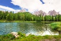 Ducks on lake Lago Antorno with the view to Dolomites, Italy.