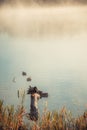 Ducks in lake, misty morning