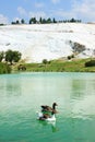 Ducks on the lake, Pamukkale, Turkey Royalty Free Stock Photo