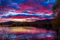 Ducks Landing On Wairepo Arm at Sunrise Royalty Free Stock Photo