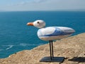 Ducks at the Lighthouse in Nazare in Portugal