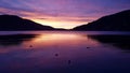 Ducks in lunar blue sunset over lake GÃÂ©rardmer, France Royalty Free Stock Photo