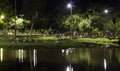 Ducks At Night in the Park; BRAZIL 2021