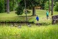 Ducks in the park in Gulbene, Latvia