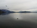 Ducks resting silently in the shimmering crystal clear lake Royalty Free Stock Photo