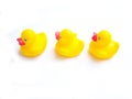 Ducks In A row Royalty Free Stock Photo