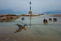 Ducks at the Sirmione coast Royalty Free Stock Photo
