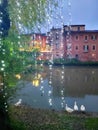 Ducks staying on Velino river