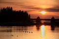 Ducks at Sunset Royalty Free Stock Photo