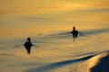 Ducks at sunset Royalty Free Stock Photo