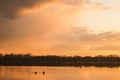 Ducks in the sunset. River Daugava