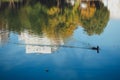 Ducks swim in the city pond. Reflection of the city in the water and the silhouette of ducks. Urban fauna