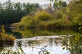 Ducks swim at sunrise in the early morning on the Blue Lake in Kazan. The sunrise, reeds, grass, trees and turquoise lake