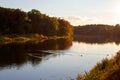 Ducks swim in water on the river in autumn sunny evening. Autumn landscape Royalty Free Stock Photo