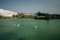 Ducks swimming in the lake. Pamukkale, Turkey-August 2019. Green Lake with an island in the center