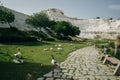 Ducks swimming in the lake. Pamukkale, Turkey-August 2019. Green Lake with an island in the center