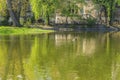 Ducks swimming in the pond in front of Vajdahunyad castle in Bud