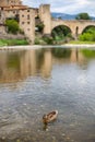 Ducks swimming on a quiet water lake in Besalu, Catalonia with famous old medieval stone bridge in the background
