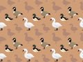 Ducks Wallpaper 2