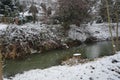 Ducks on the water in winter. Snow in the vicinity of the Wuhle River in January. Marzahn-Hellersdorf, Berlin, Germany. Royalty Free Stock Photo