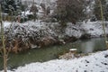 Ducks on the water in winter. Snow in the vicinity of the Wuhle River in January. Marzahn-Hellersdorf, Berlin, Germany. Royalty Free Stock Photo