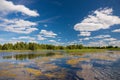 Duckweed. Typical summer lake scene, Belarus. Summer landscape with forest lake and blue cloudy sky. Lake landscape in summer. Royalty Free Stock Photo