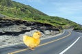 Ducky crossing the road. Royalty Free Stock Photo