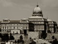 the Duda castle in Budapest, Hungary. panoramic view. black and white finish. large copper cupola.