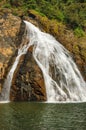 Dudhsagar Waterfall in tropical jungle of India