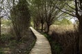 Deck paths through wetlands make difficult-to-access terrain walkable