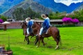 Paso Peruvian horse-Wayra Urubamba  - Peru 71 Royalty Free Stock Photo