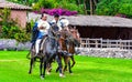 Paso Peruvian horse-Wayra Urubamba - Peru 61