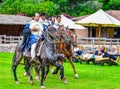 Paso Peruvian horse-Wayra Urubamba  - Peru 62 Royalty Free Stock Photo