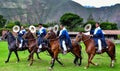 Paso Peruvian horse-Wayra Urubamba - Peru 66