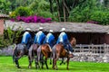 Paso Peruvian horse-Wayra Urubamba  - Peru 1 Royalty Free Stock Photo