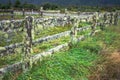 Mossy fences in the west coast new zealand