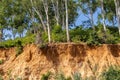 Open trees roots due to landslides