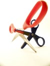 Duelling Scissors, 2