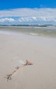 Dueodde beach of Bornholm Denmark